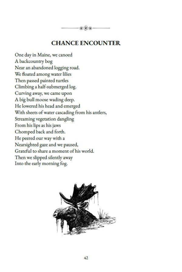 Paperback: As Night Gathers - Image 2